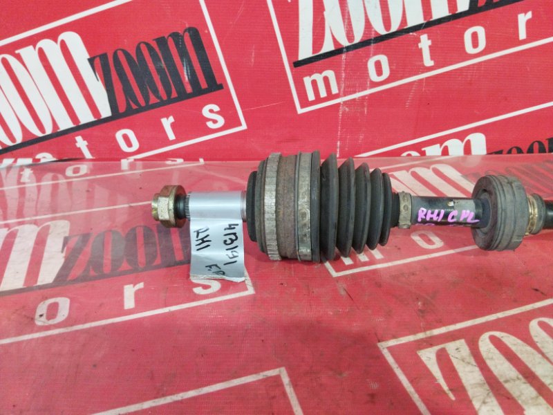 Привод, 2400 рублей, Солонцы