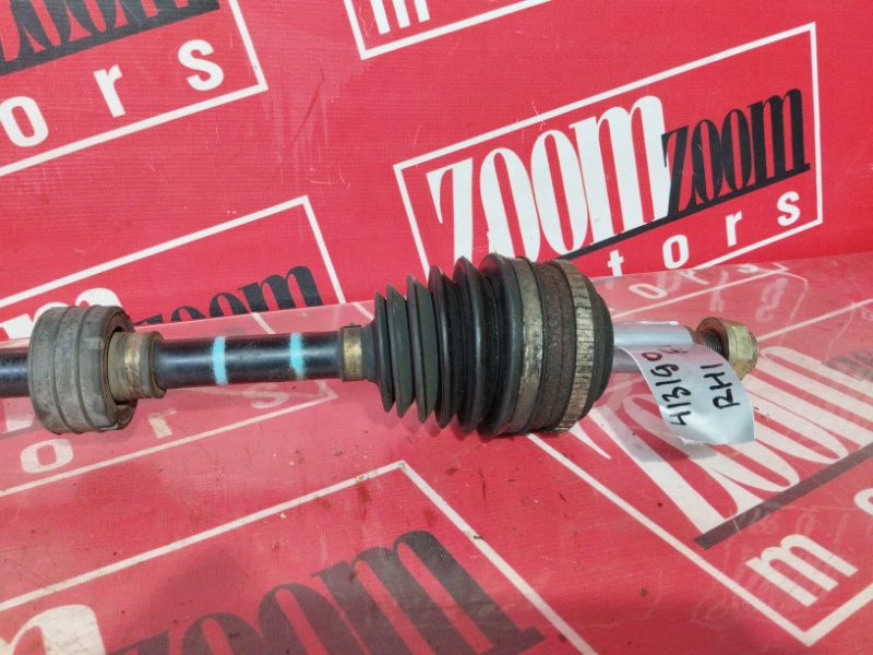 Привод, 4000 рублей, Солонцы