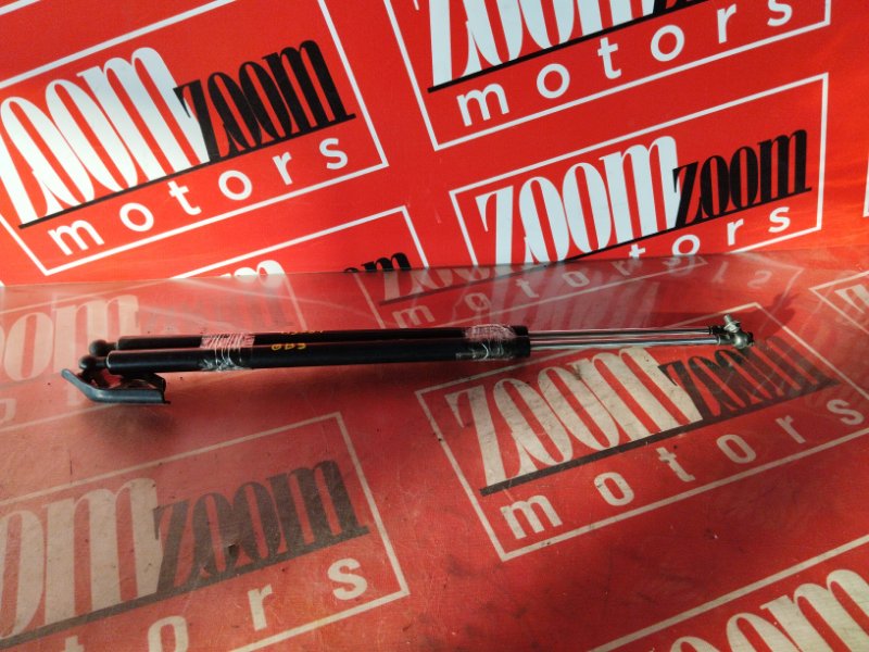 Амортизатор багажника, 500 рублей, Солонцы