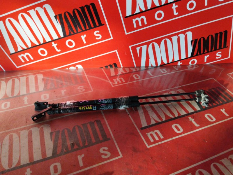 Амортизатор багажника, 800 рублей, Солонцы