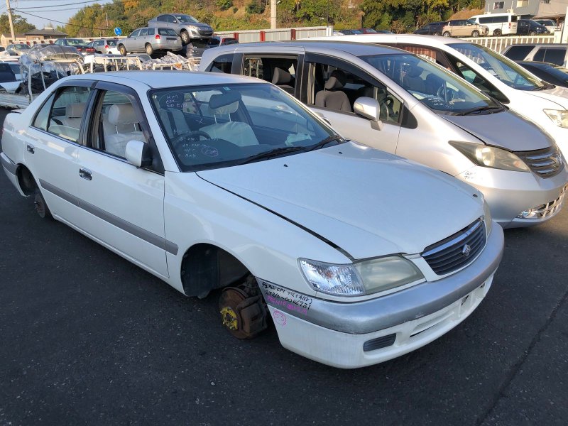 Привод, 4800 рублей, Солонцы