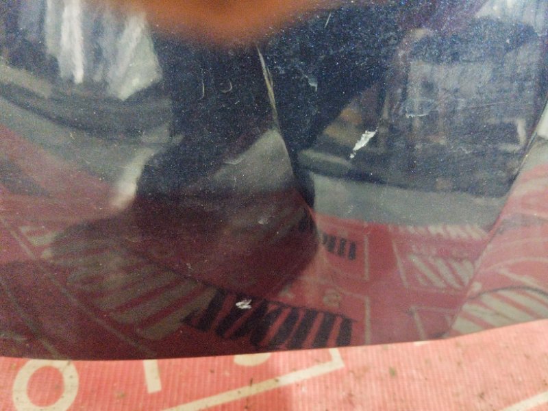 Крыло, 1900 рублей, Солонцы