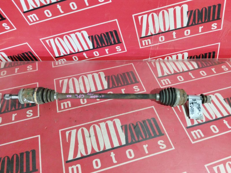 Привод, 900 рублей, Солонцы