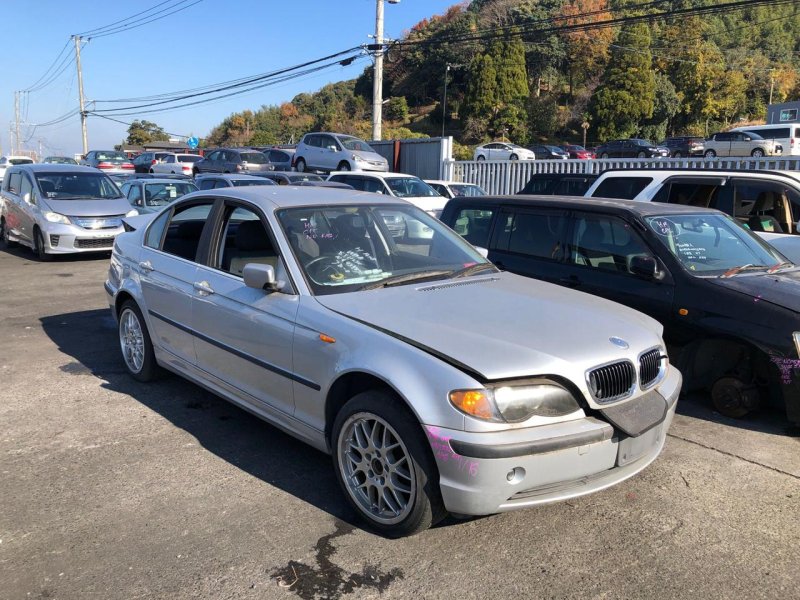 Привод, 2400 рублей, Солонцы