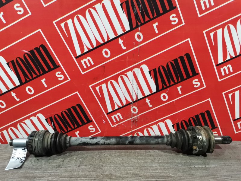 Привод, 2400 рублей, Солонцы