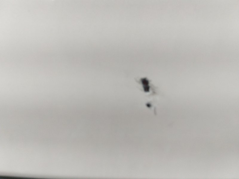 Дверь боковая, 3400 рублей, Солонцы