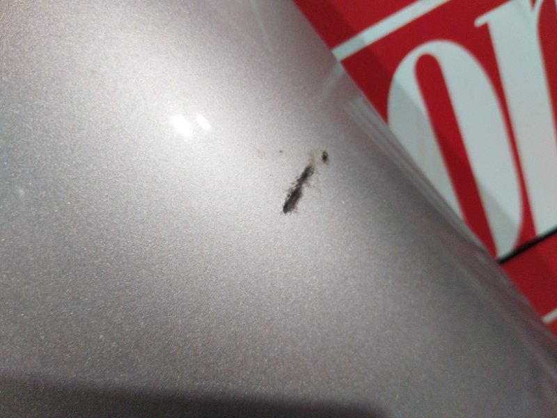 Крыло, 1900 рублей, Солонцы