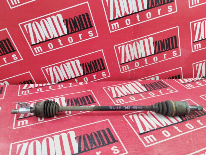 Привод, 900 рублей, Солонцы