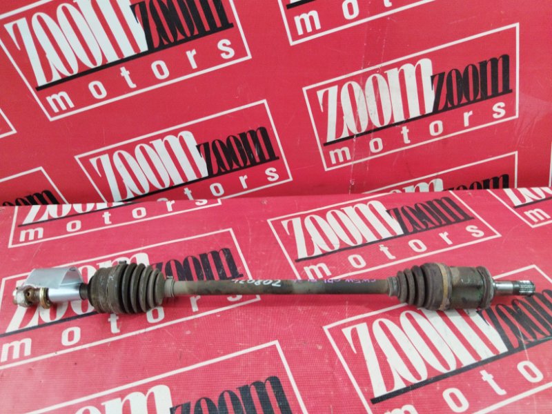 Привод, 900 рублей, Солонцы