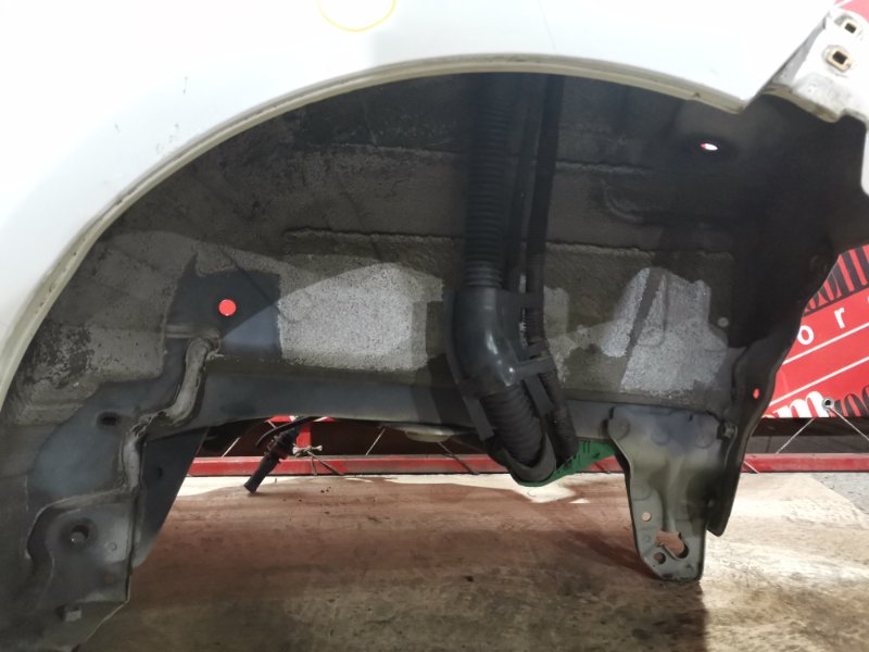 Крыло, 50000 рублей, Солонцы