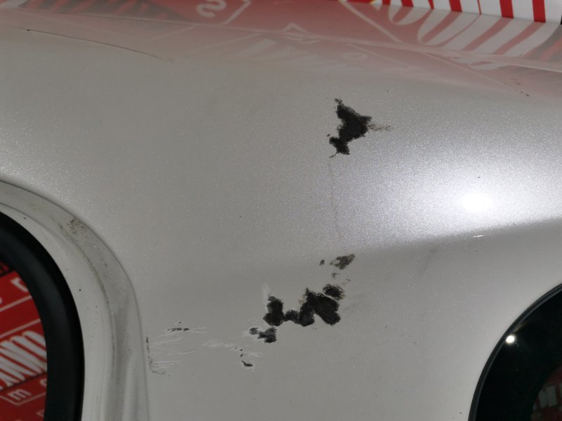 Крыло, 50000 рублей, Солонцы