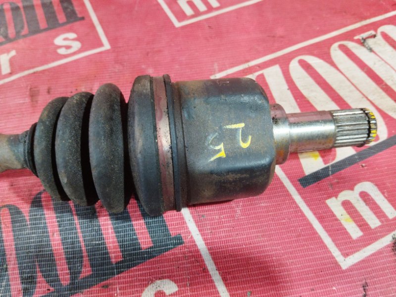 Привод, 4800 рублей, Солонцы