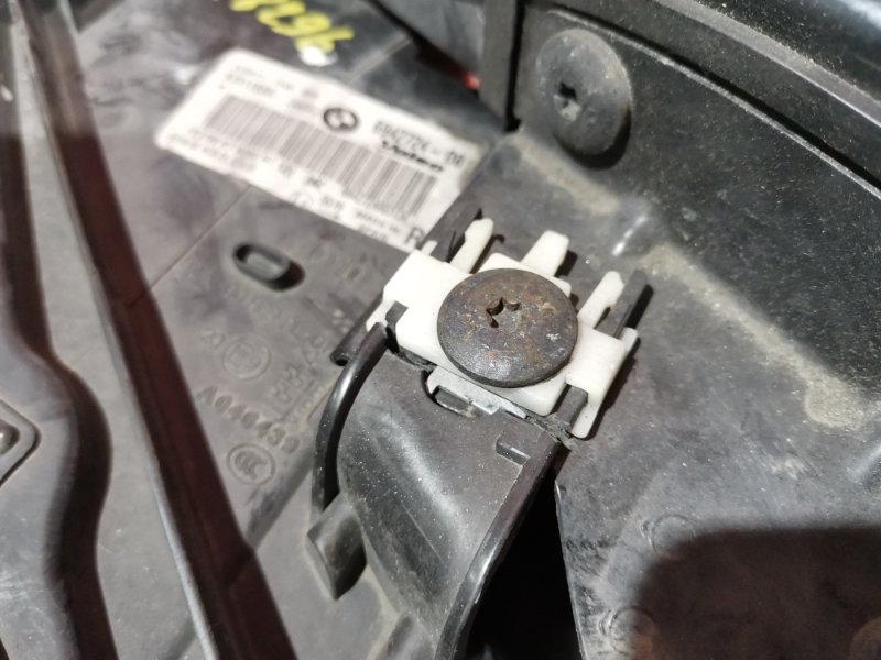 Nose cut, 38000 рублей, Солонцы