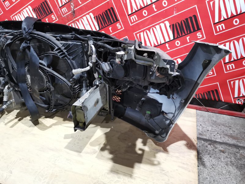 Nose cut, 38000 рублей, Солонцы