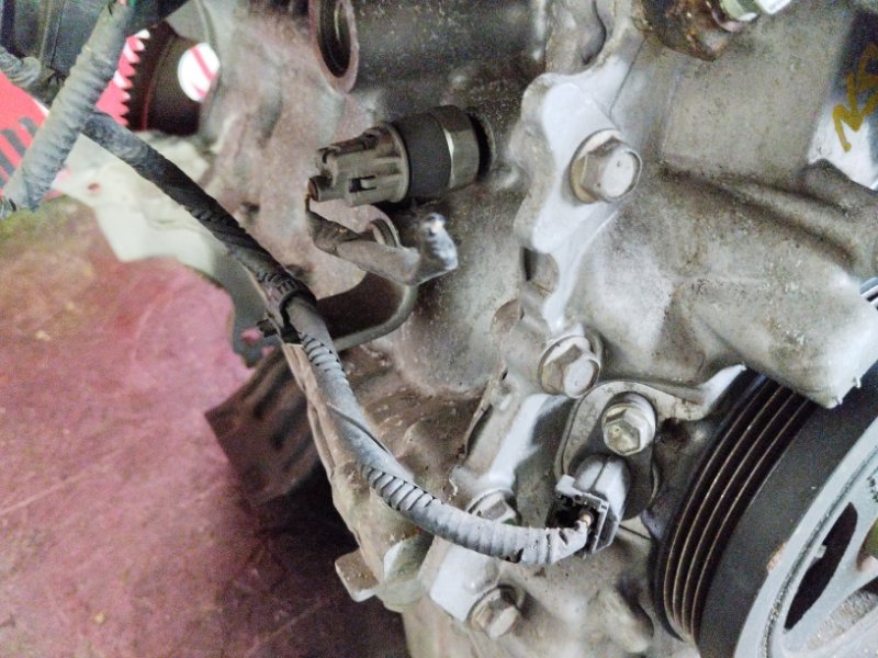 Двигатель, 47500 рублей, Солонцы