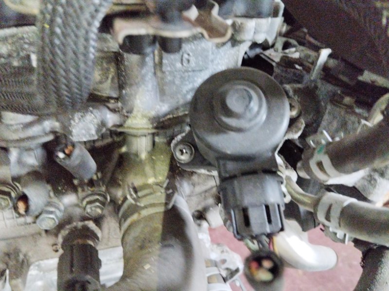 Двигатель, 47500 рублей, Солонцы