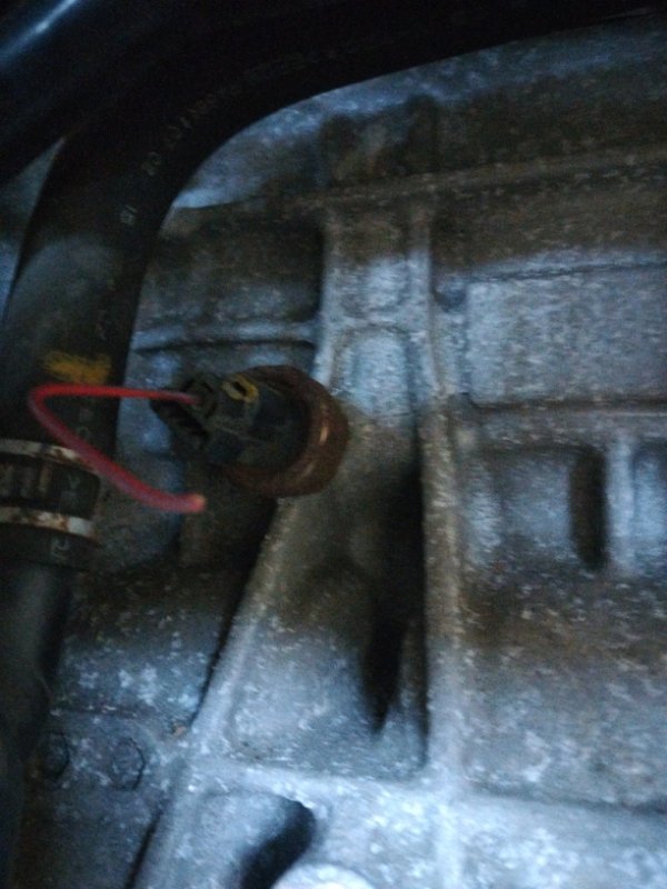 Двигатель, 44000 рублей, Солонцы