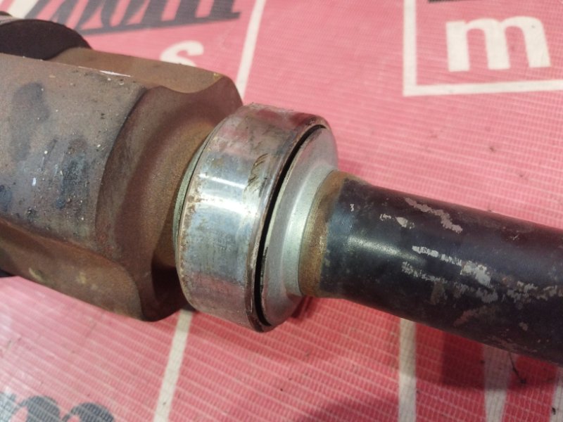 Привод, 9500 рублей, Солонцы