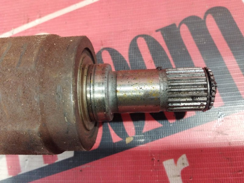 Привод, 1900 рублей, Солонцы