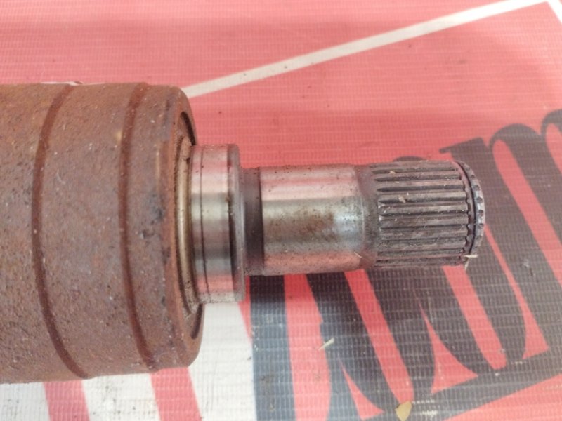 Привод, 5700 рублей, Солонцы