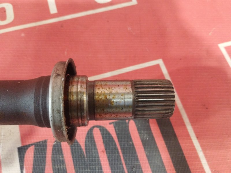 Привод, 8100 рублей, Солонцы