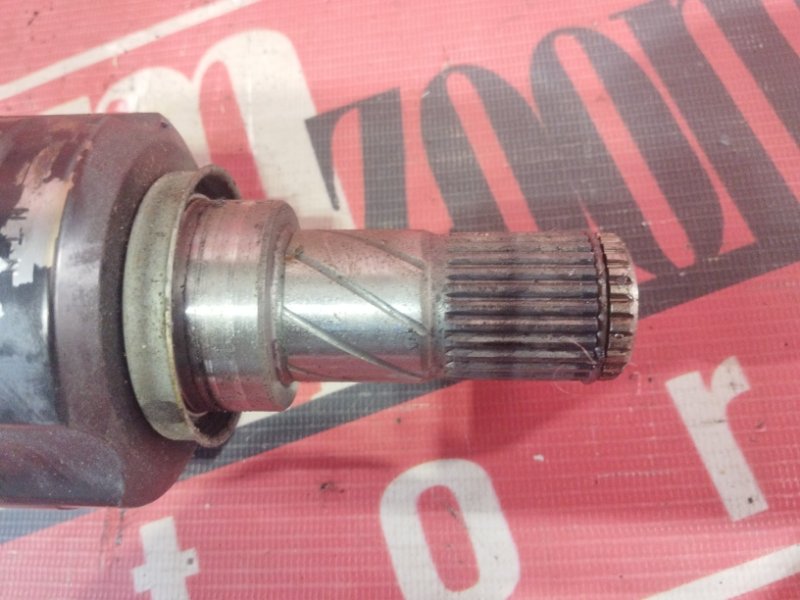 Привод, 1900 рублей, Солонцы