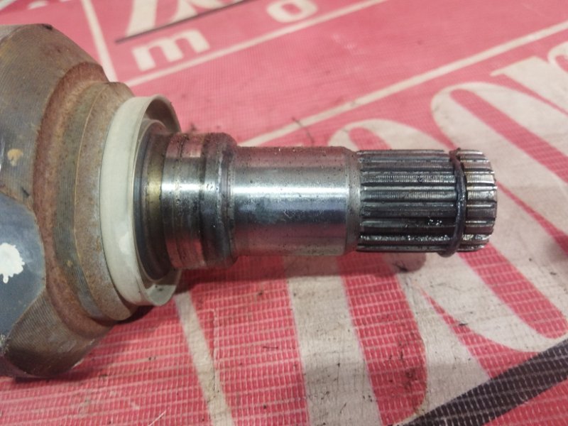 Привод, 5300 рублей, Солонцы