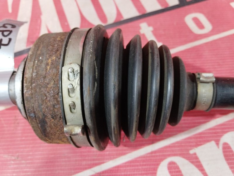 Привод, 3800 рублей, Солонцы