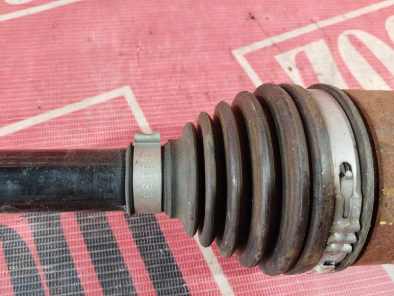 Привод, 3800 рублей, Солонцы