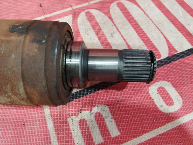 Привод, 3800 рублей, Солонцы