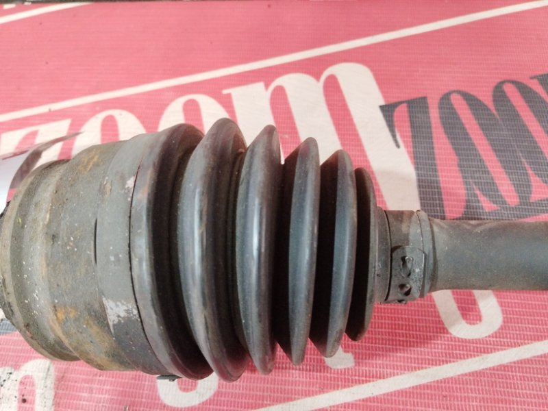 Привод, 1900 рублей, Солонцы