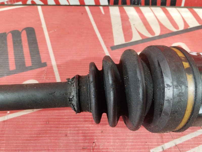 Привод, 1900 рублей, Солонцы