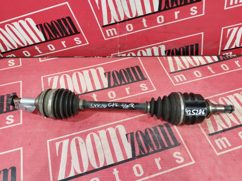 Привод, 7000 рублей, Солонцы