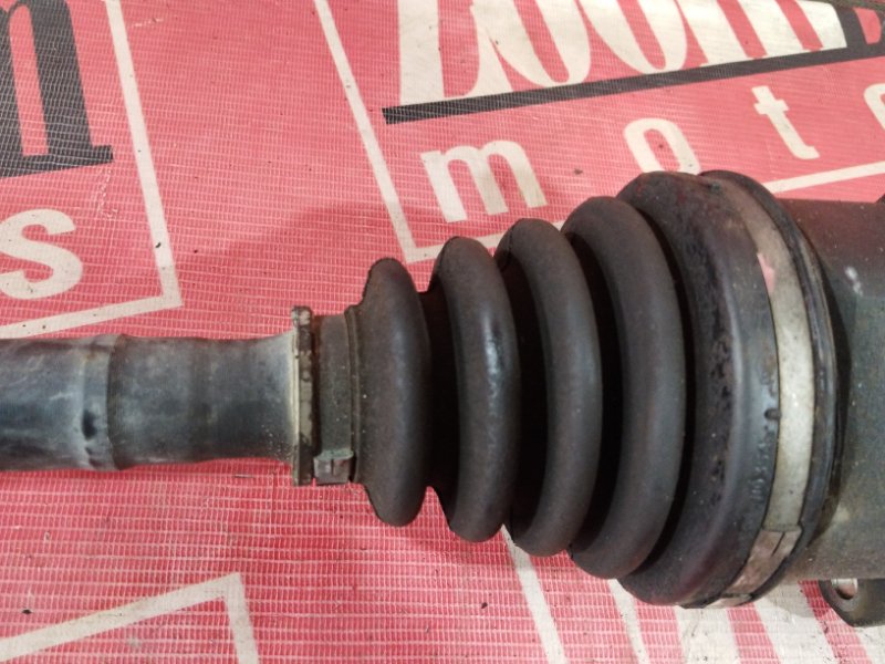 Привод, 1900 рублей, Солонцы