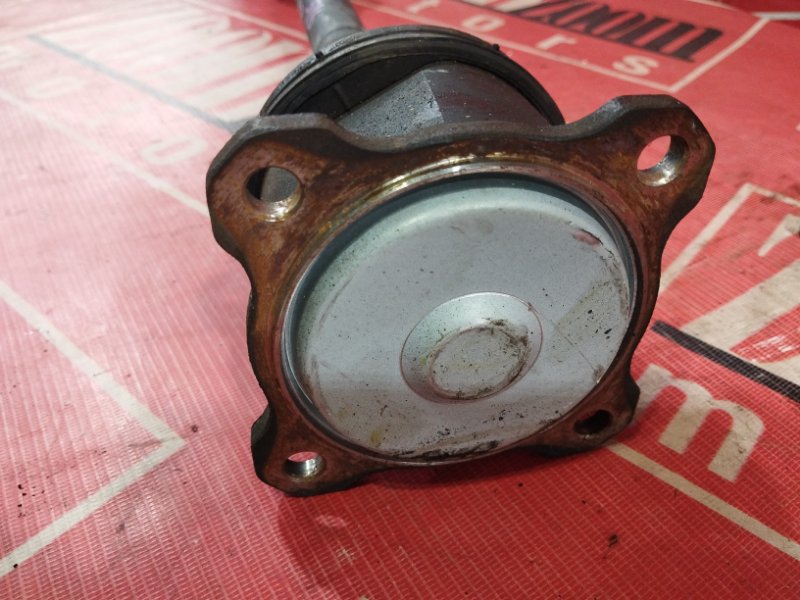 Привод, 1900 рублей, Солонцы