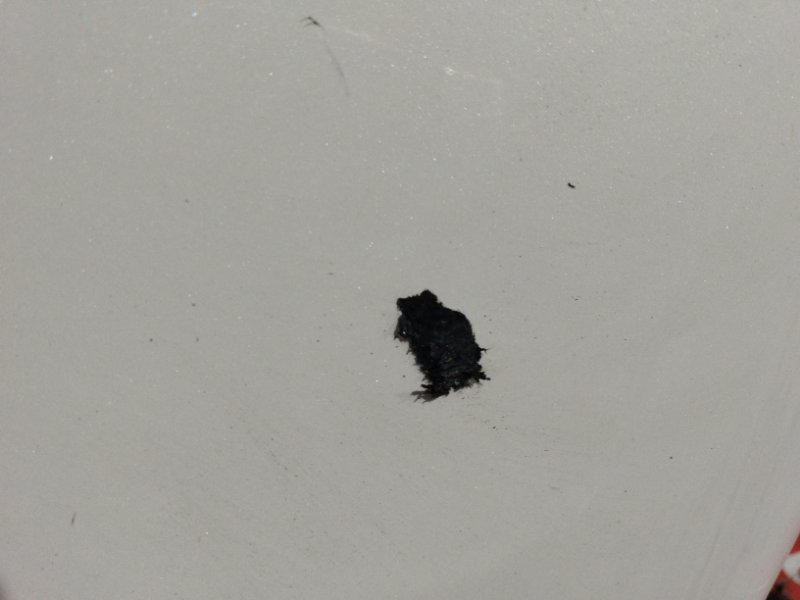 Бампер, 10500 рублей, Солонцы