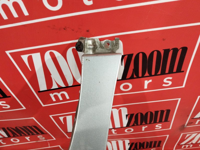 Крыло, 1800 рублей, Солонцы