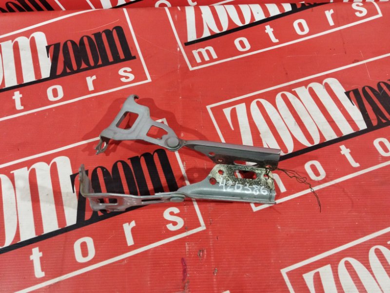 Петля (Шарнир капота), 4300 рублей, Солонцы