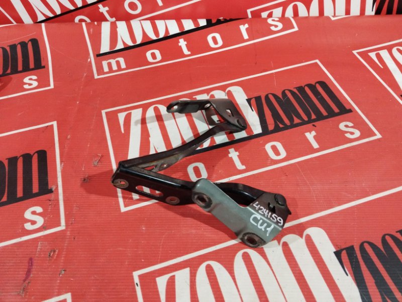 Петля (Шарнир капота), 500 рублей, Солонцы