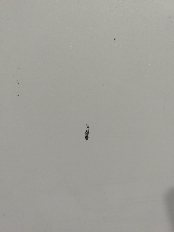 Капот, 8600 рублей, Солонцы