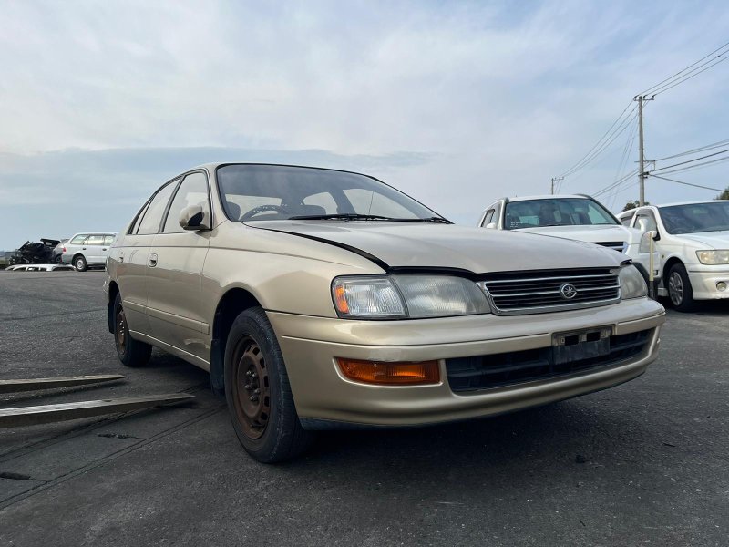 Бампер, 18100 рублей, Солонцы