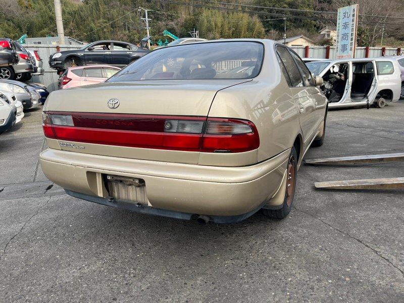 Бампер, 18100 рублей, Солонцы