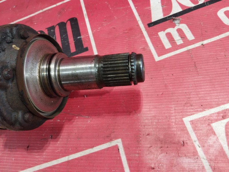 Привод, 2400 рублей, Солонцы
