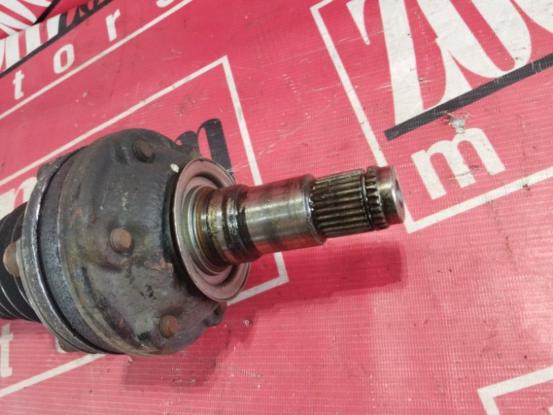 Привод, 2000 рублей, Солонцы