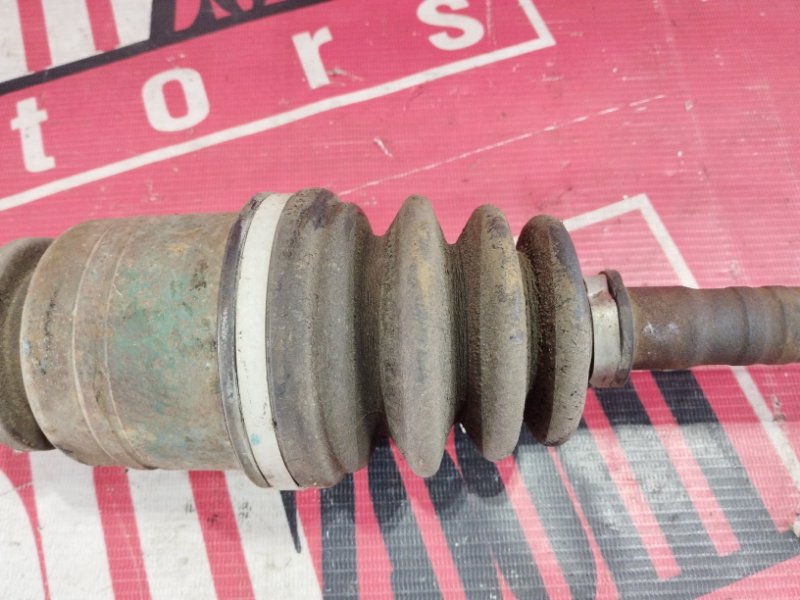 Привод, 1500 рублей, Солонцы