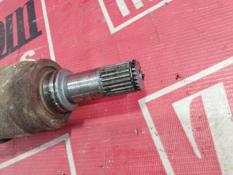 Привод, 2900 рублей, Солонцы