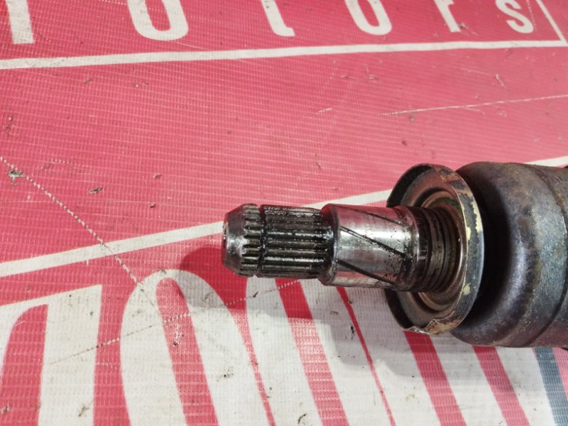 Привод, 1500 рублей, Солонцы