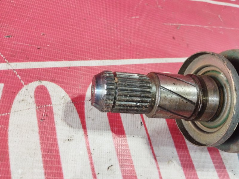 Привод, 1500 рублей, Солонцы