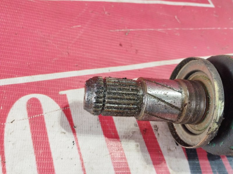 Привод, 1500 рублей, Солонцы