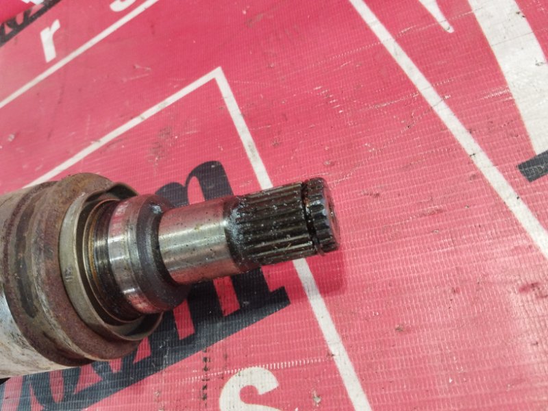 Привод, 900 рублей, Солонцы